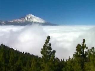  Canary Islands:  Spain:  
 
 Tenerife